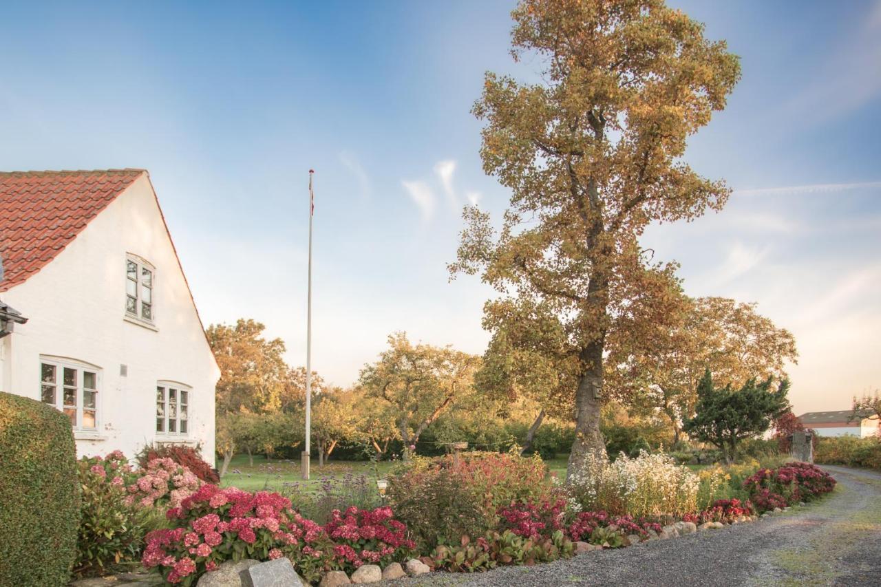 Sjaelegard Countryside Lodge Allinge-Sandvig Exterior photo