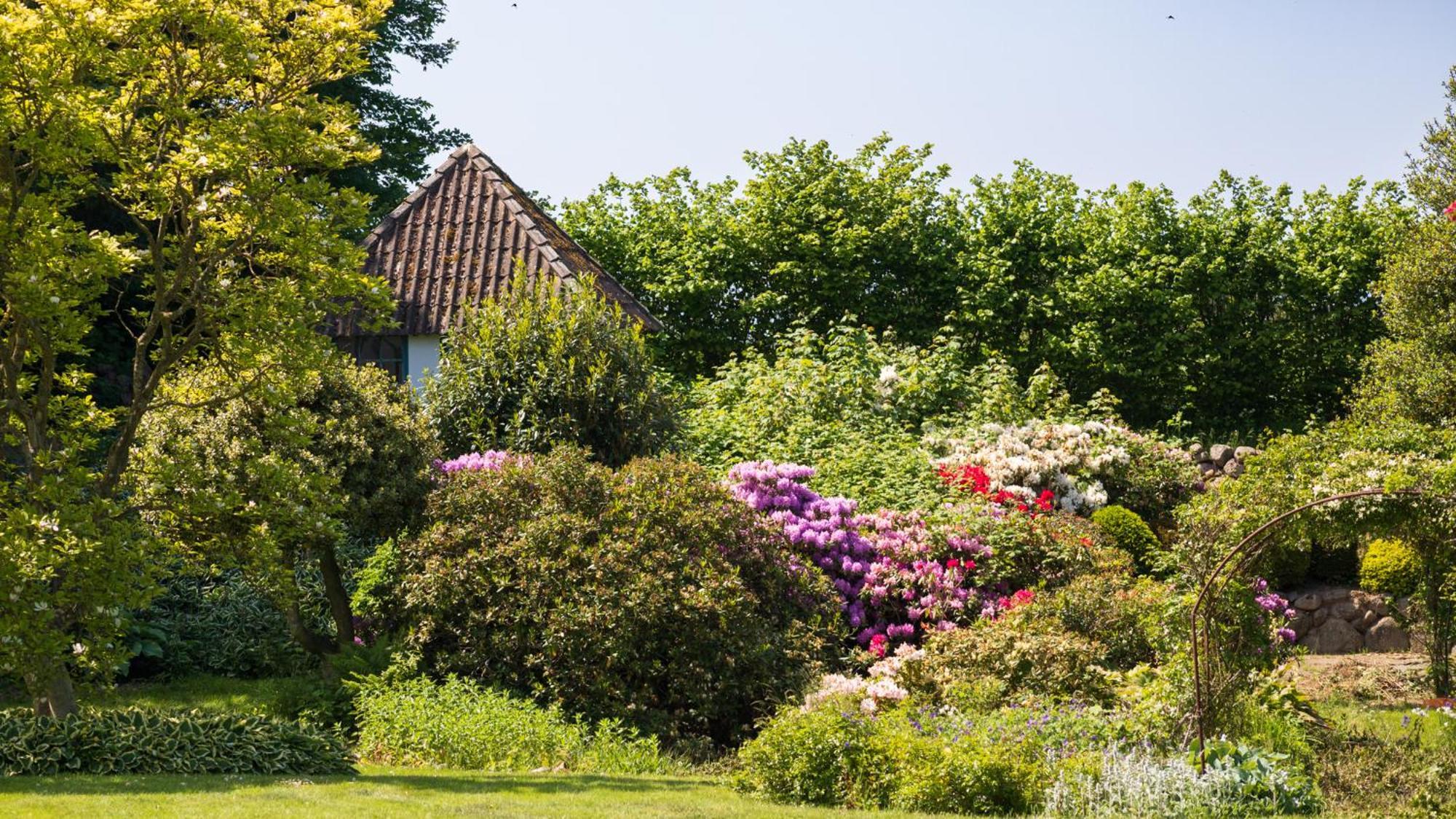 Sjaelegard Countryside Lodge Allinge-Sandvig Exterior photo